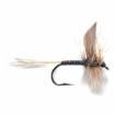 ginger quill